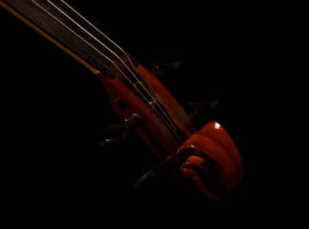 Violin fingerboard with strings, isolated on black backgroundの写真素材