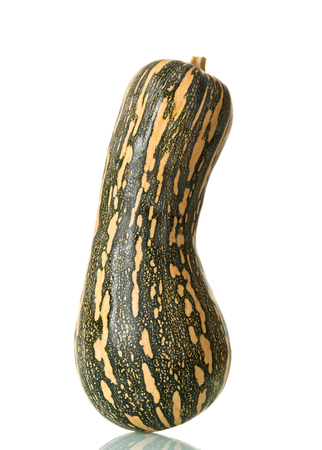 Striped Butternut pumpkin, isolated on white backgroundの写真素材