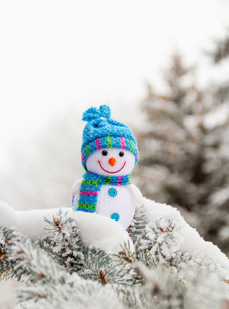 Charming little snowman on snowy pine branch. Backgroundの写真素材