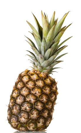 Large pineapple with crown of leaves isolated on whiteの写真素材