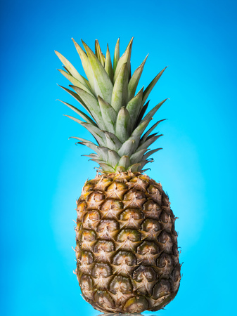 Large pineapple with green stem, on blue backgroundの写真素材