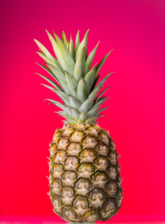 Large pineapple with peel, and stem with leaves on pink backgroundの写真素材