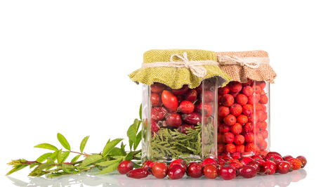 Jar with rose hips and Rowan berries, next to sprig and scattered fruit, isolated on whiteの写真素材