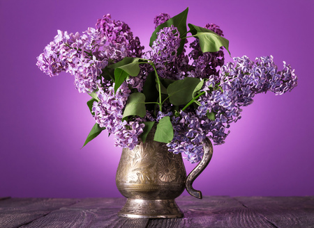 Bouquet of lilac in an old vase on purpleの写真素材
