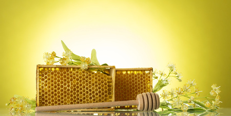 Frame with bee honeycombs, wooden beater and Linden flowers on yellow backgroundの写真素材