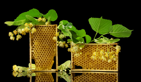 Wooden frames with bee honeycombs and Linden flowers isolated on blackの写真素材