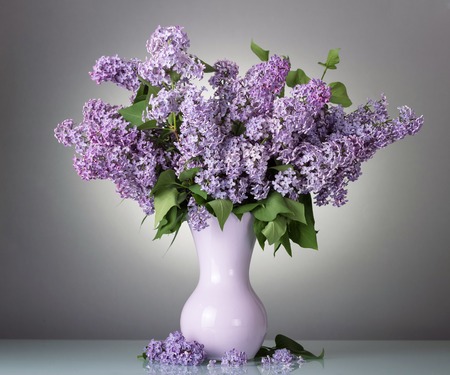Charming bouquet of blooming lilac in vase on greyの写真素材