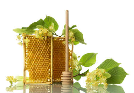 Frames with bee honey, spindle and Linden flowers isolated on whiteの写真素材
