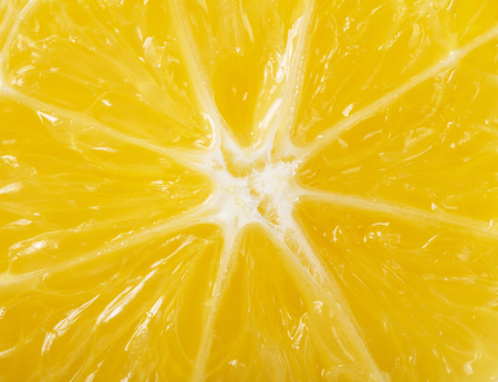 Yellow juicy lemon close-up, cut across. Backgroundの写真素材