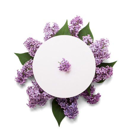 Flower arrangement of lilac sprigs, isolated on whiteの写真素材