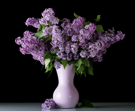 Fresh bouquet of lilac in vase isolated on blackの写真素材