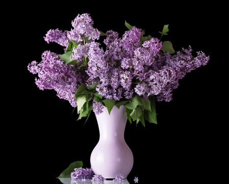 Beautiful bouquet of lilac in vase isolated on blackの写真素材