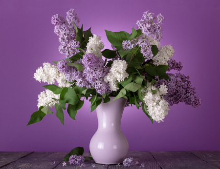 Charming bouquet of white and lilac flowers on purple backgroundの写真素材