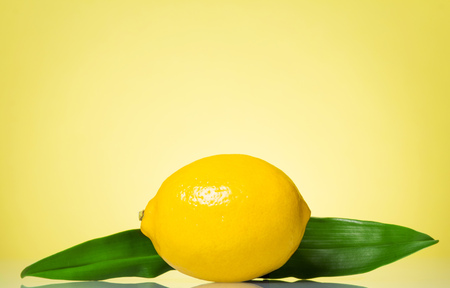 Large bright lemon with leaves on yellowの写真素材
