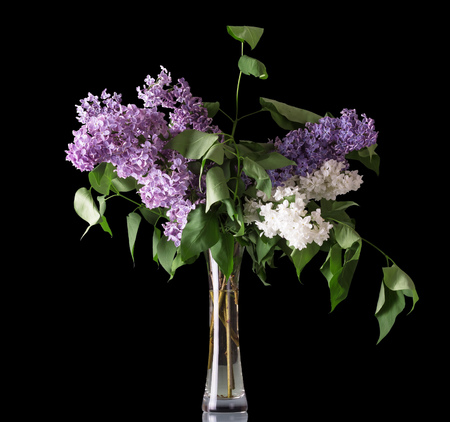 Bouquet of fragrant lilac in graceful glass vase isolated on blackの写真素材