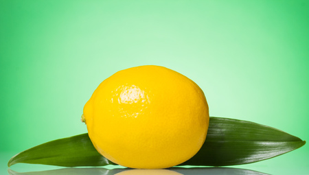 Big yellow lemon close-up, on greenの写真素材