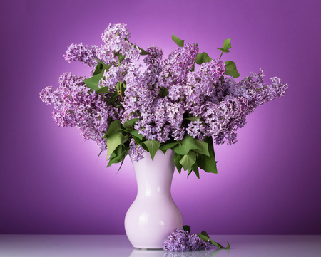 Lush bouquet of flowers in vase on lilac backgroundの写真素材