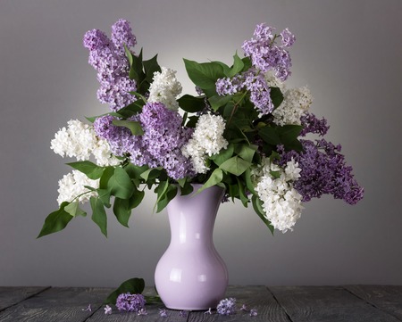 Bouquet of white and purple flowers of lilac in vase, on grayの写真素材