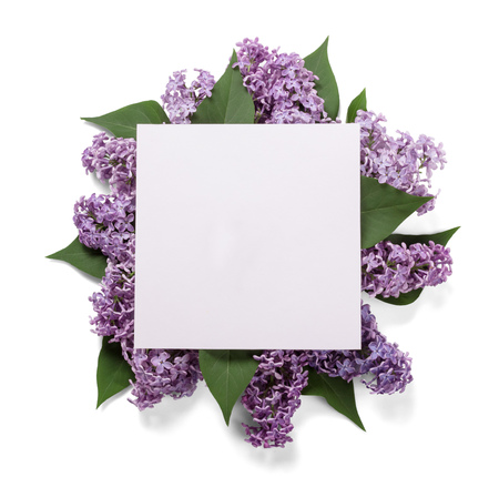 Sprigs of lilac are stacked in bouquet, on top an empty postcard, isolated on whiteの写真素材