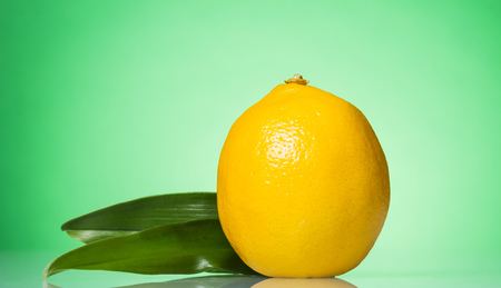 Big yellow lemon with leaves on greenの写真素材