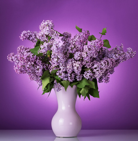 Luxurious spring bouquet in vase on purpleの写真素材