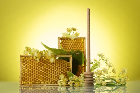 Wooden frames with wax honeycombs, spindle and Linden flowers on yellow backgroundの写真素材