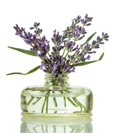 Bouquet of lavender branches in glass jar, isolated on whiteの写真素材