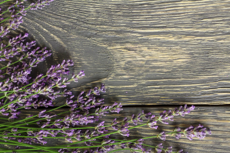 Flowers of medicinal lavender plant lie on wooden surfaceの写真素材