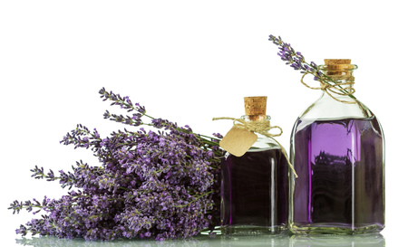 Tincture of Lavender in bottles with corks isolated on whiteの写真素材