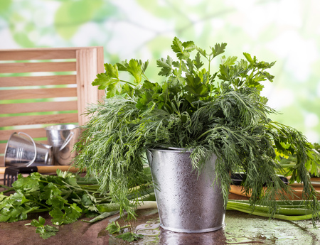 Fresh spicy greens with water drops in metal pail on light backgroundの写真素材