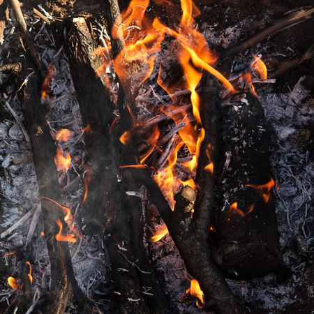 Background image fire. Burning logs and coals. Campfire in the open airの写真素材