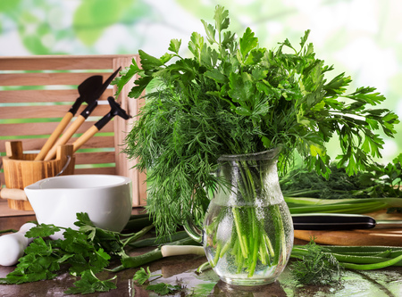 Fresh herbs from garden parsley and dill in drops of water on a light backgroundの写真素材