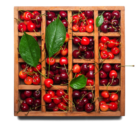 Fresh juicy berries cherries and leaves in a wooden box with cells isolated on white backgroundの写真素材