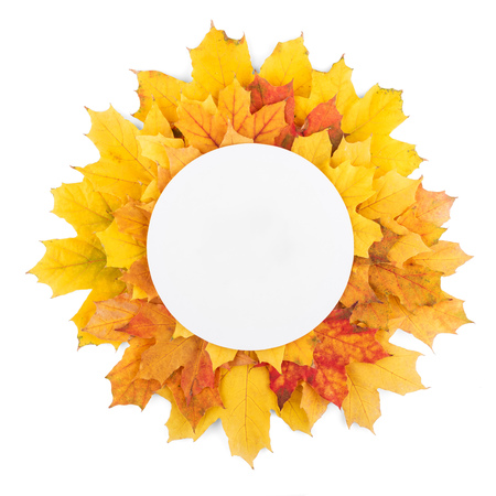 Round empty space for writing on autumn bright leaves isolated on white backgroundの写真素材