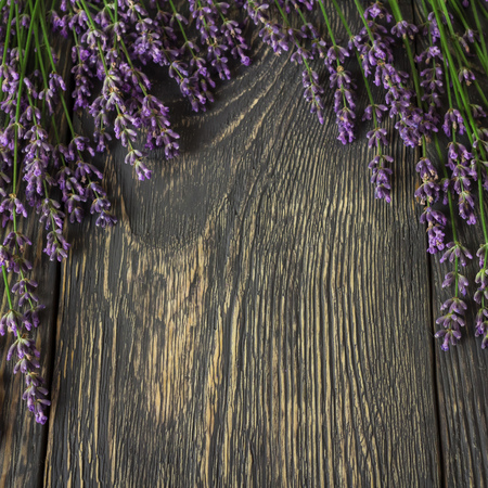 The background for the label. Twigs of fragrant fresh lavender on dark boardsの写真素材