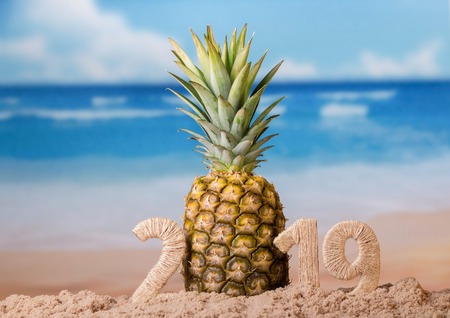 Inscription 2019 in the sand on the beach and juicy fresh pineappleの写真素材