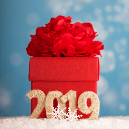 Big red box with a bow for gifts and the inscription 2019 new year a snow backgroundの写真素材