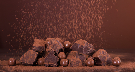 Chocolate composition. Pieces of flavored chocolate, and a round candy in the cocoa powder on a dark backgroundの写真素材