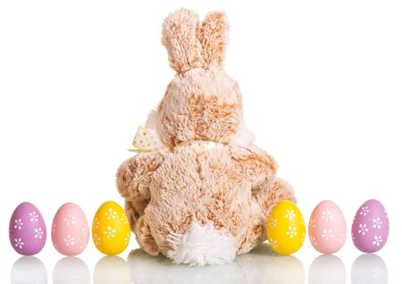 Row of Easter eggs and the Easter bunny isolated on white background. Back view.の写真素材