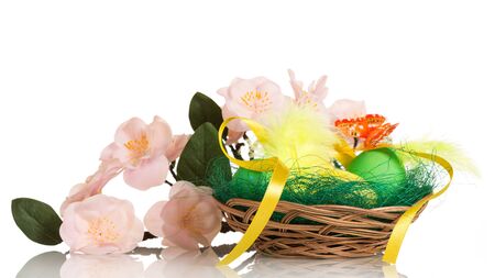 Easter eggs in a basket and a branch of the with flowers isolated on white background.の写真素材