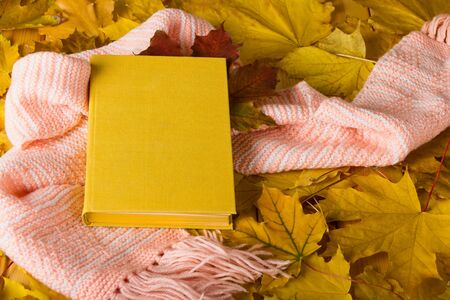 Book and a warm scarf on carpet of autumn yellow leavesの写真素材