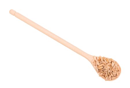 Wooden spoon with a long handle full of sunflower grains, isolated on white backgroundの写真素材