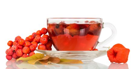 Tea from a dogrose and bunch of mountain ash isolated on white backgroundの写真素材