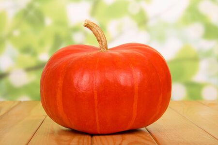 Bright orange pumpkin on wooden table. Close-upの写真素材