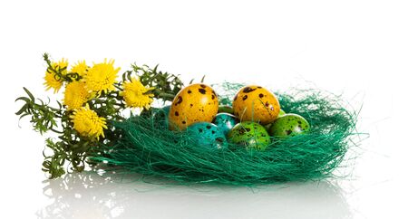 Colorful Easter eggs in the nest and flowers isolated on white background.の写真素材