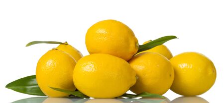 Heap of large yellow lemons with leaves isolated on white backgroundの写真素材