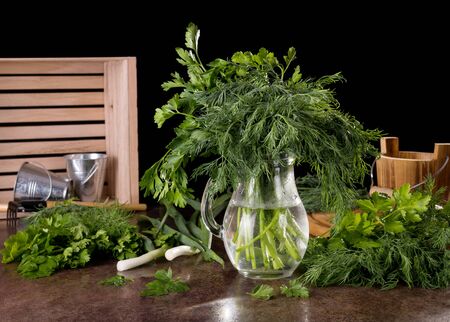 Dill and parsley in jug of water, near greens, isolated on black backgroundの写真素材