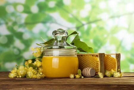 Honey in pot with lid, honeycomb and spoon-stirrer on light green backgroundの写真素材