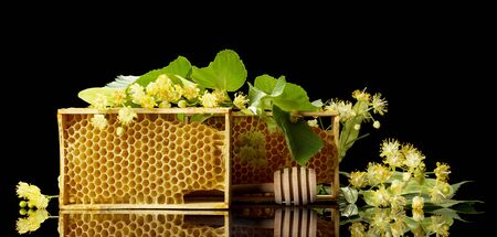 Wooden frames with bee honeycombs and Linden branches isolated on black backgroundの写真素材