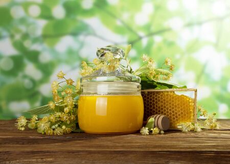 Linden blossom, honey in jar and honeycombs on light green backgroundの写真素材